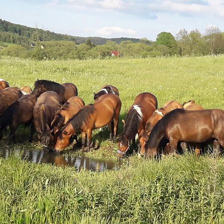 Przy Winogronie Otel Uherce Mineralne Dış mekan fotoğraf